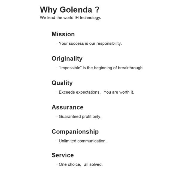 Stainless Steel Multi Zone Induction Hob , Electric Induction Stove 220V