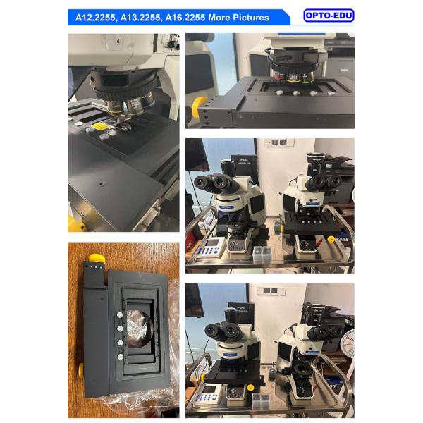 Opto Edu A16.2255 Laboratory Fluorescent Microscope Fully Motorized UV B G BX53 CX43 Level