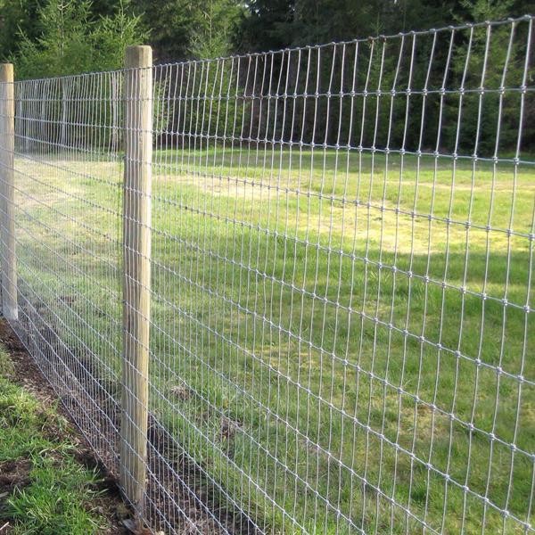 China wholesale 4 ft. x 330 f Fixed Knot Farm Fence Field Fence galvanized field fence wholesale