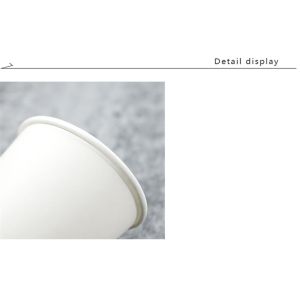 Coffee 100 Biodegradable 6 Oz Paper Cups With Lids