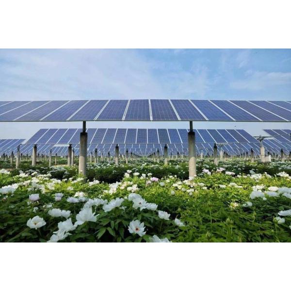 Array Solar Panel Tracker System Position 1 Axis Solar Tracking System