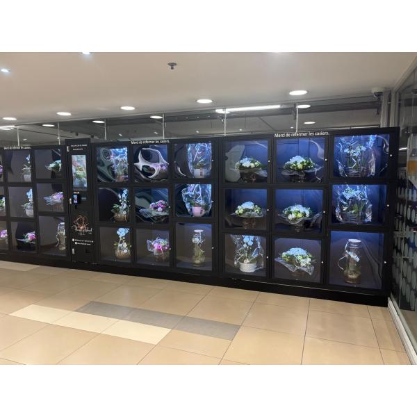Smart Flower Vending Machine with 10 inch Touchscreen, Android 11.1 OS, and 32 Lockers for Fresh Flowers Preservation