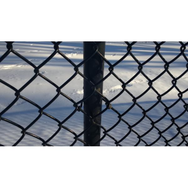 Galvanized chain link fence( diamond wire mesh), PVC Coated Chain mesh Fence
