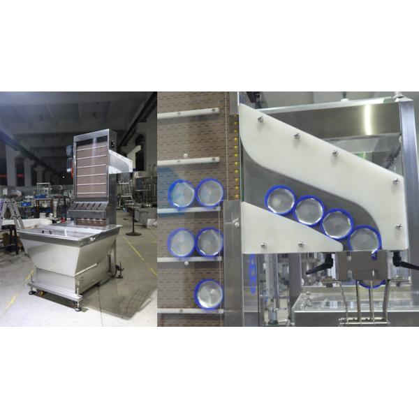 Customized Fully Automatic Twist Off Screw Capping Machine Capper