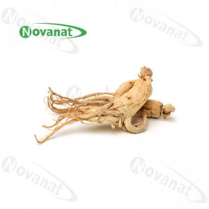 China Dry Ginseng Root Organic Dried Herbs Improving immunity / Clean Label on sale