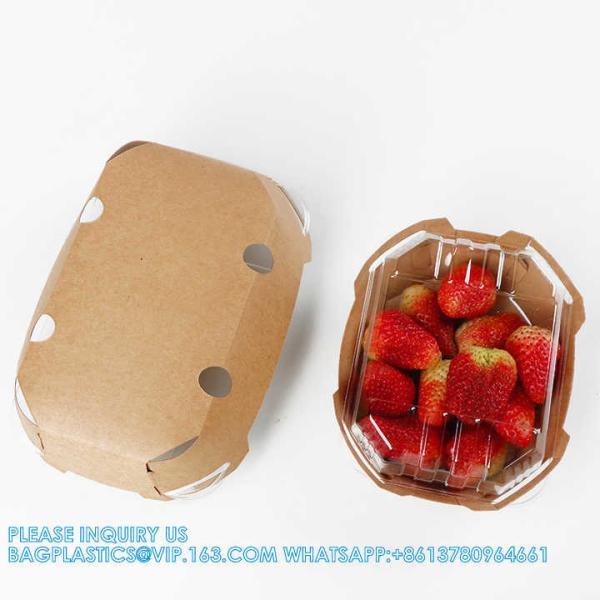 Degradable Wholesale Kraft Paper Tray With PLA Lid For Strawberry Blueberry Boxes Basket Container Packaging