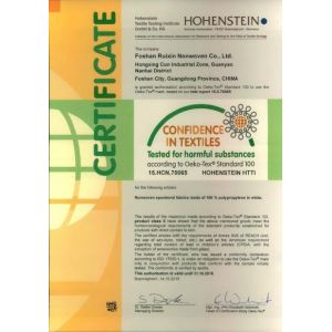 Foshan Rayson Global CO., Ltd Certifications