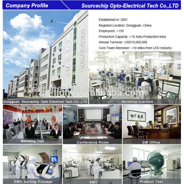 COB 15 watt led down light | COB LED Downlight supply