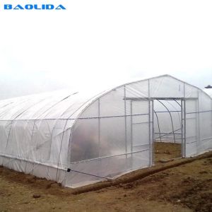 China Gothic High Tunnel Vegetable Film Hydroponics Single-Span Greenhouse Construction on sale