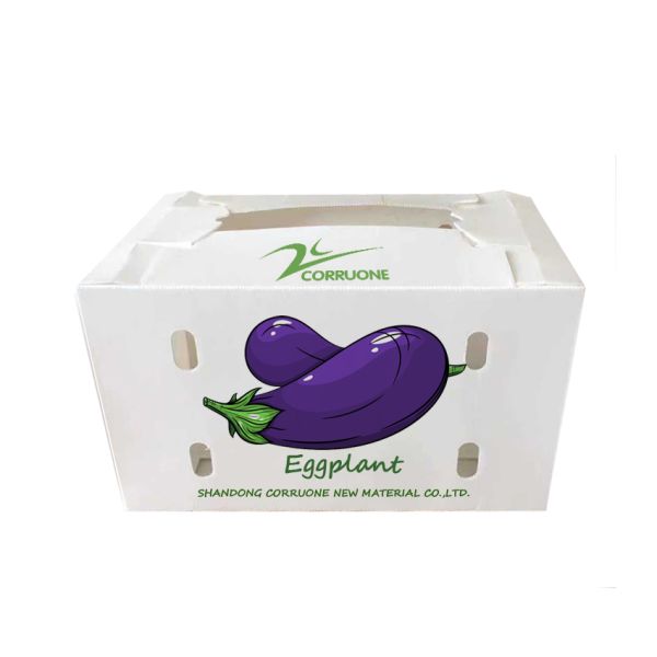 Eco-friendly PP Corrugated Plastic Box for Fruit and Vegetable Storage and Shipping