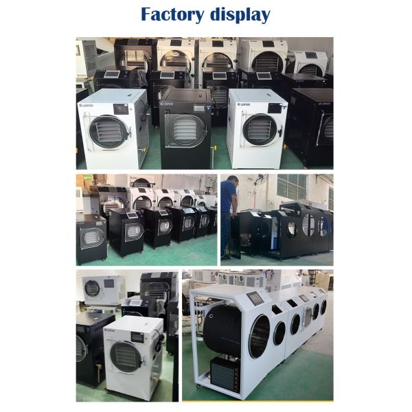 4m2 14 Large Trays Vacuum Food Freeze Dryer Factory Manufacturer for Fruits and Vegetables