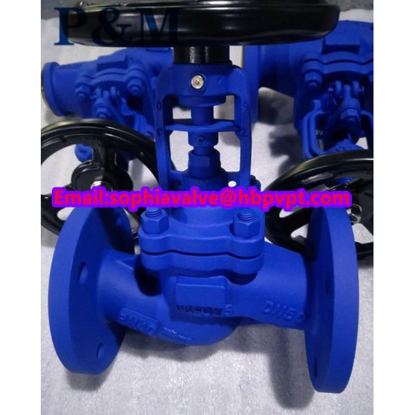 DIN PN40 GS-C25 bellows globe valve