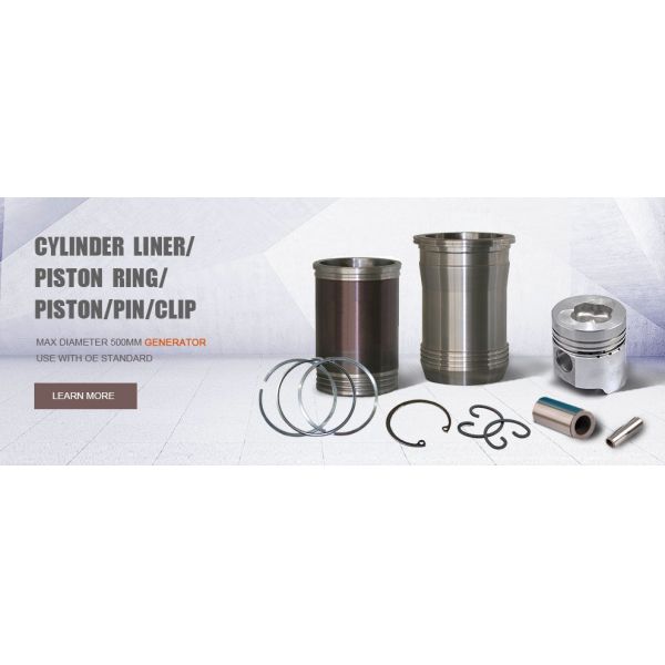 Engine forging crankshaft Piston Ring cylinder heads Cylinder liner kit Engine Timing chain kit