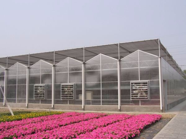 Large Hydroponic Galvanized Steel Pipe For Film Greenhouses in Double or Single Layer