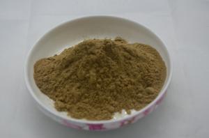 China natural yucca schidigera extract for Feed CAS No:90147-57-2 on sale
