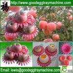 EPE/PE/Plastic pan foam tray for fruit packing