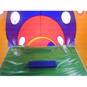 Fun Caterpillar Inflatable Tunnel (CYOB-08)
