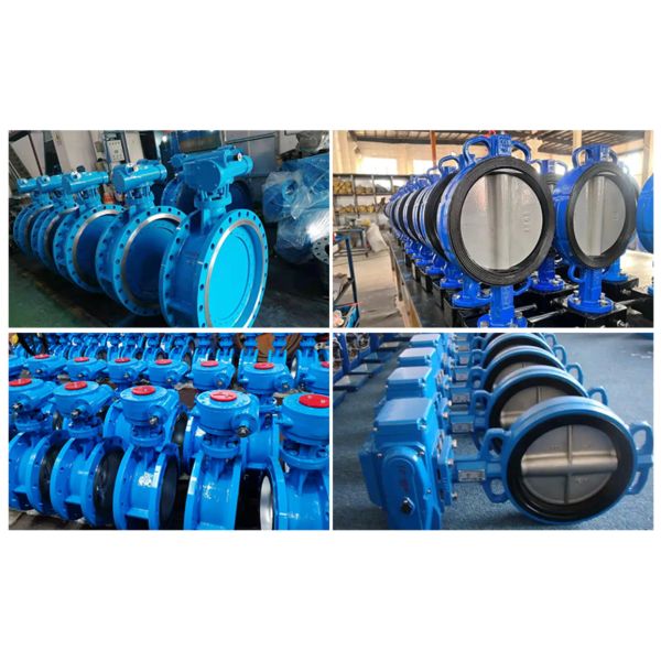 DN50 PN16 Ductile Iron Handle Clamp Soft Seal Butterfly Valve Bolted Connections