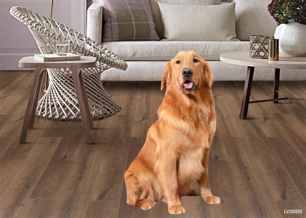 Quality Waterproof and flame-retardant floor WFR flooring,also called MGO flooring for sale