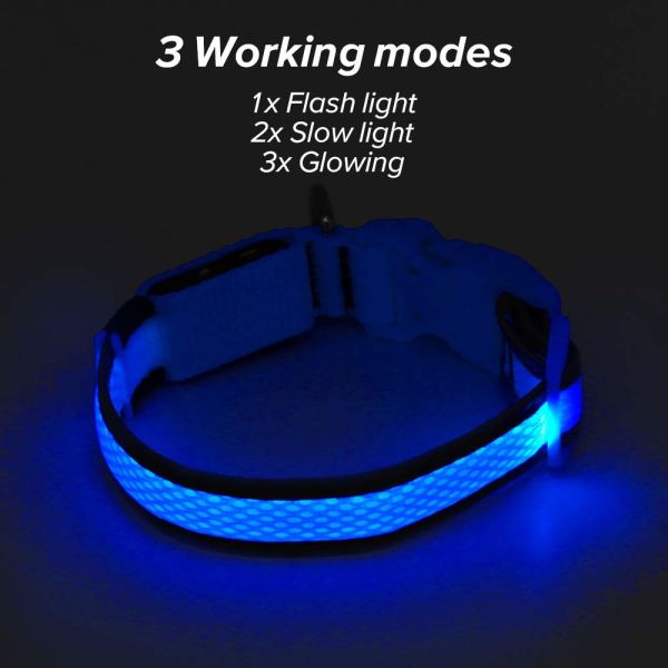 China Durable Rechargeable Lighted Dog Collars Heavy Duty Nylon Webbing Material wholesale