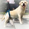 Nylon Pet Leg Support Belt Rear Leg Disability Injury High Aged Dog Stair Auxiliary for sale