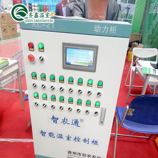 30 x 100 Vegetable Growing Film Covered Multi-span Arch Greenhouse with PO Cover