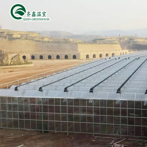 Venlo Galvanized Steel Pipe Greenhouse with Tower Garden and Optimal Shading System