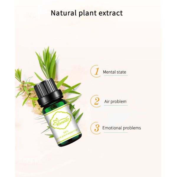 MSDS Tea Tree 100% Pure Plant Essential Oil For Aroma Diffuser