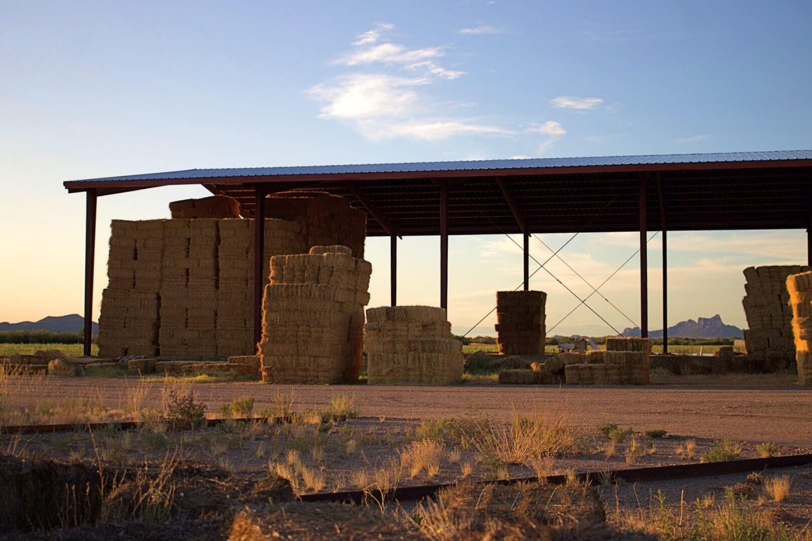 Sliding Door Prefabricated Goat Farm Shed with Design and Single Steel Sheet Roofing