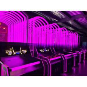 Dreamland Exclusive Luxury Coin Operated Street Basketball Games Slam King