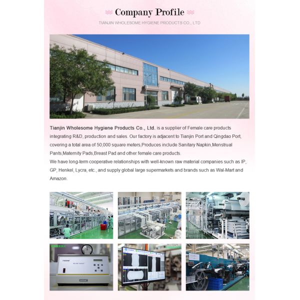 OEM ODM Disposable Menstrual Pants for Breathable Lady Period Pants Leak Proof Underwear