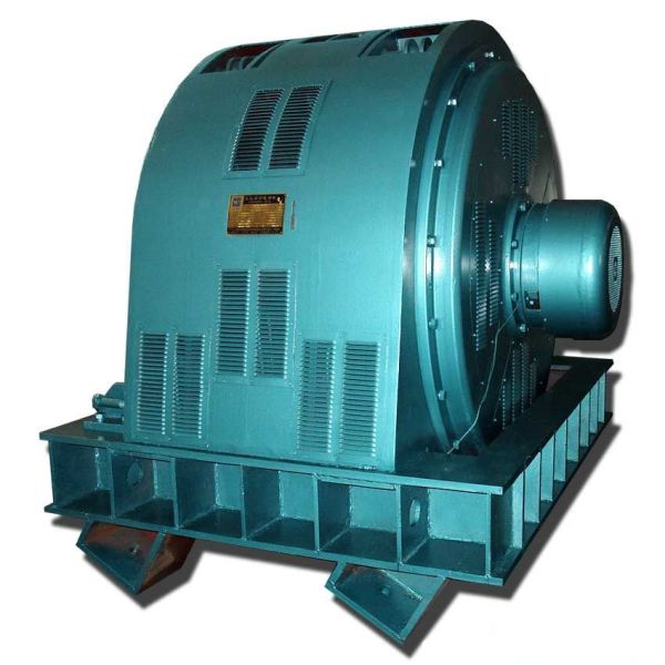 TK Series Three Phase Synchronous Motor 4000kW IM 5710