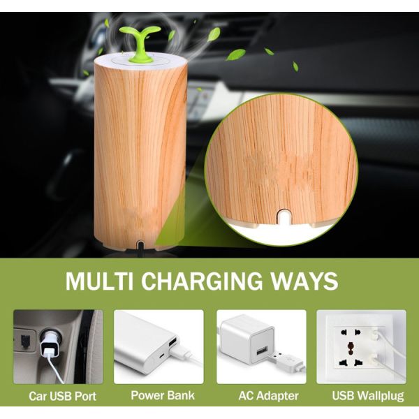 Light Wood Grain Portable USB Scent Nebulizer