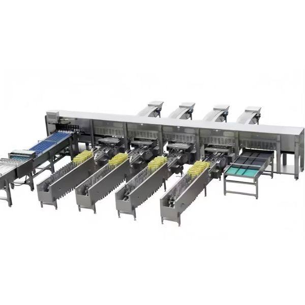 Industrial Chicken Egg Washing Machine Automatic Chicken Egg Processing Line