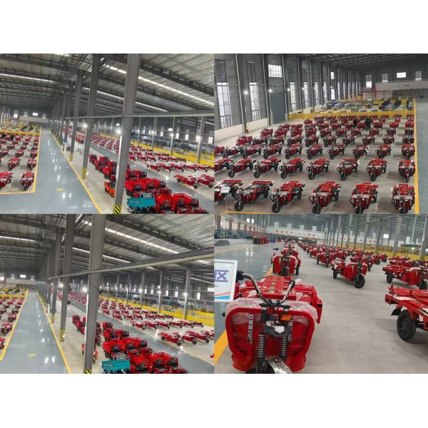 Customizable 2-Seater Latest Model Electric Golf Cart