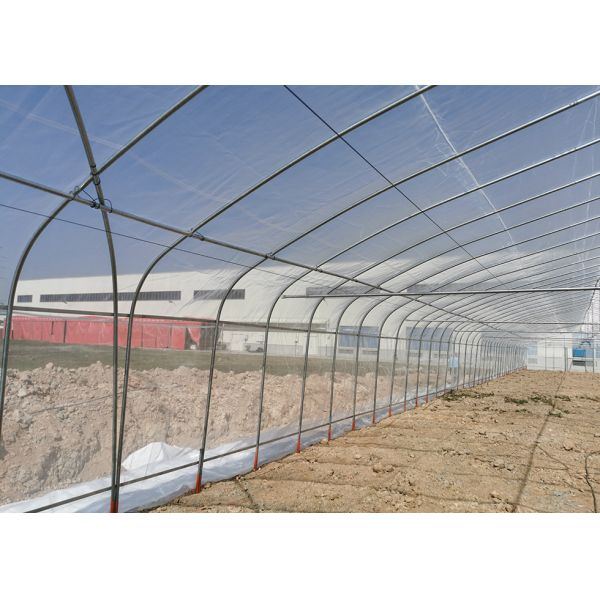 Commercial Plastic Film Greenhouse Hydroponic Hot Dipped Galvanized Steel