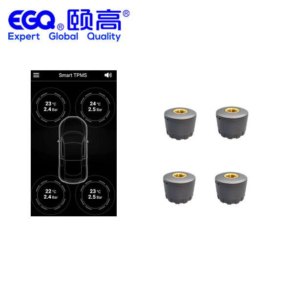 Quality Passenger Car Tire Pressure Monitoring System for sale