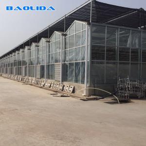 China Solar Polycarbonate Sheet Greenhouse / Agricultural PC Sheet Greenhouse wholesale