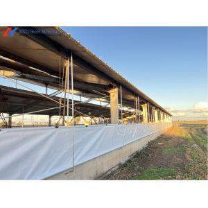 China Easy Build Piggery Shed Construction Steel Structure Cow House Construction wholesale