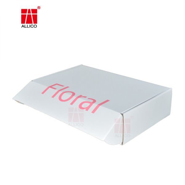 Apparel Foldable Moving Boxes