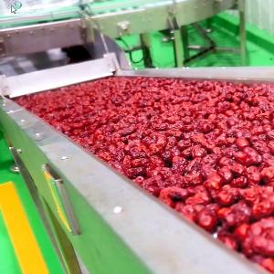 China Chinese Date Fruit Juice Processing Line , ISO9001 Fruit Pulp Processing Plant wholesale