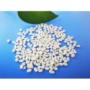 China Eco Friendly Material Biodegradable Masterbatch PE Carrier Film Injection Moulding wholesale