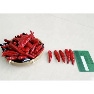 China Zero Addition Small Red Dried Chillies Premium 10KG Tianjin Peppers wholesale