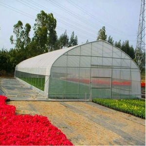 China Polythene PE Film Greenhouse Muitl Span Strong Applicability 200 Microns wholesale