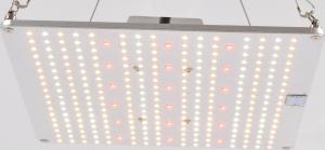 China 2.7umol UV LED Grow Lights 120W Professional full spectrum lm301B led quantum board for indoor greenhouse lighting wholesale