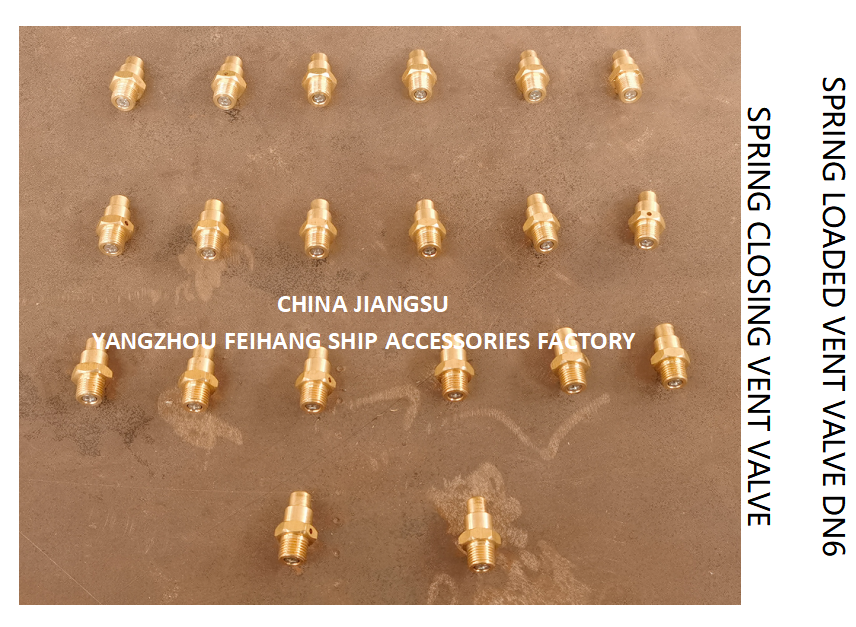 DN6 Size Spring Loaded Vent Valve with Threaded Connection Compliant to CB/T3778-1999 Standard