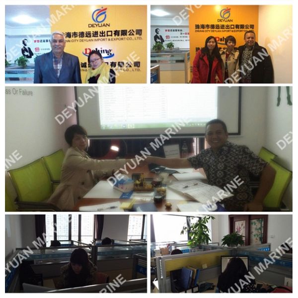 Marine Equipment Fork - Type Marine Steering Gear Hydraulic 50KN