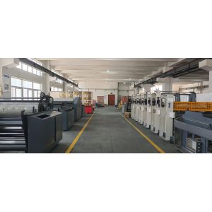 Chrome Paper Flexo Printing Machine