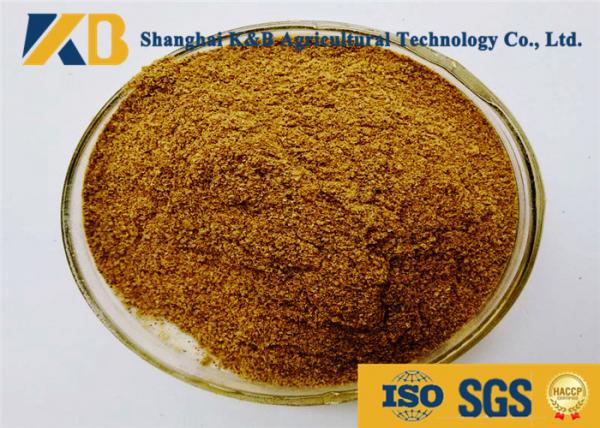 Quality Natural Feed Grade Fish Meal Powder Light Smell With 60% Protein Content for sale