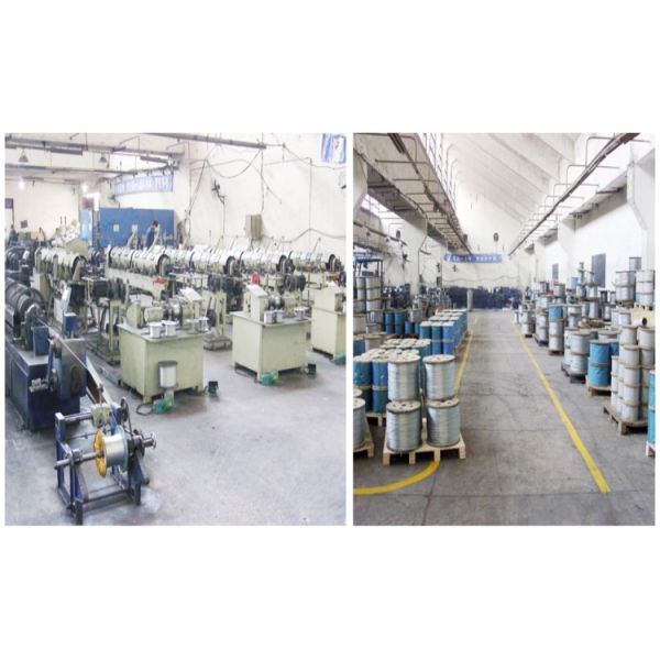 Adjustable No-Sit Heavy Duty Dog Tie Out Cable and Grooming Noose for Secure Bathing